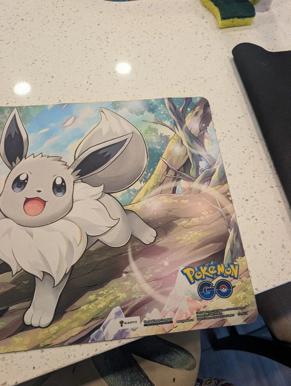 Eevee Playmat Pokemon GO- GENTLY USED